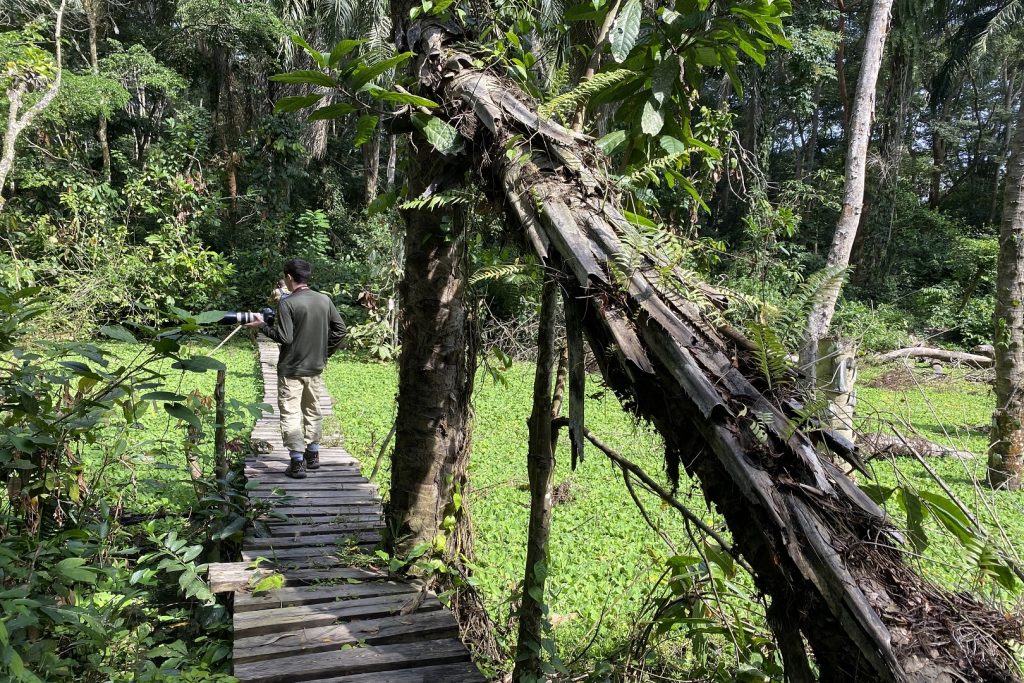 Bird watching and nature walks in Semuliki National Park