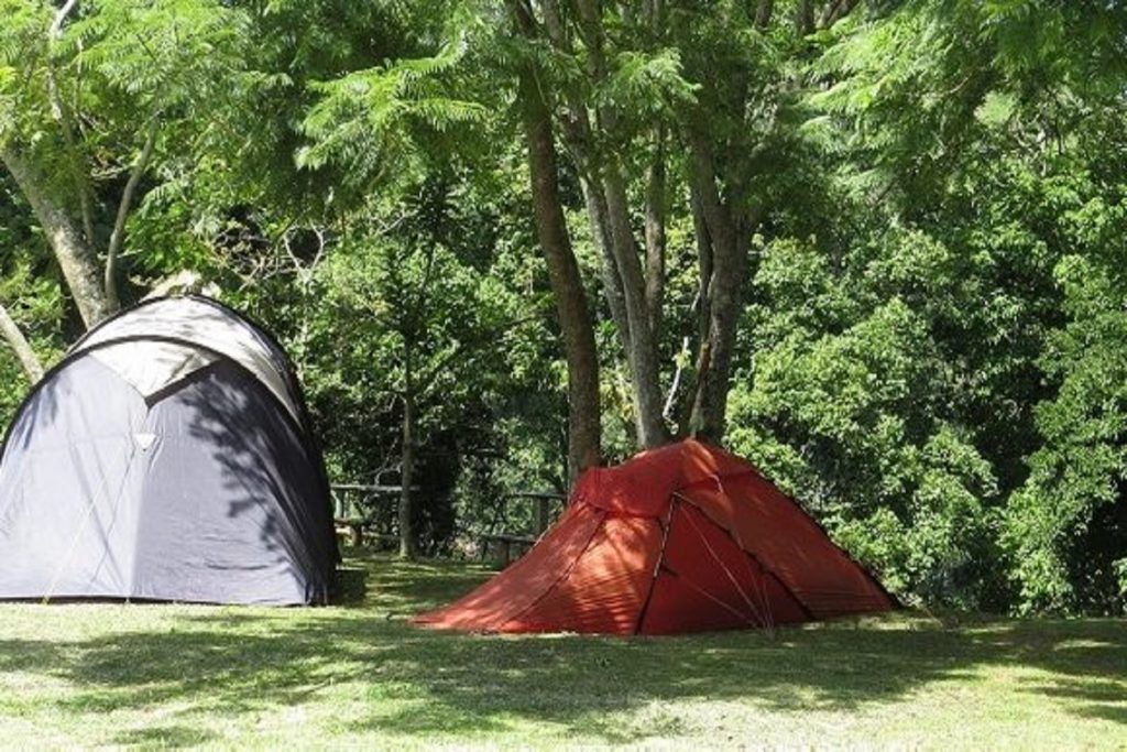 Pitched tents for camping in Semuliki National Park