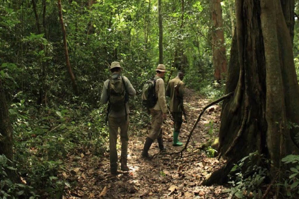 Nature Walk, one of Semuliki tours in Semuliki National Park.