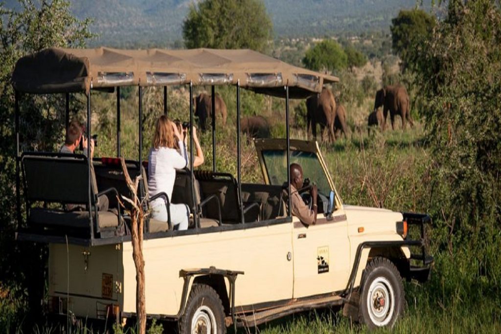 Visitors taking photos of forest elephants on a safari to Semuliki National Park