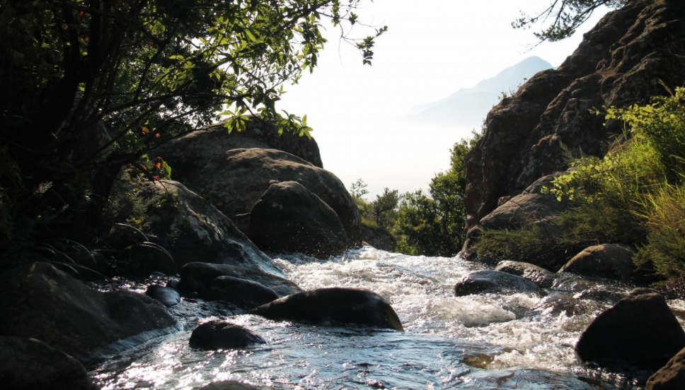 Mugiri River in Semuliki National Park. Credit: Africa Adventure Vacations.