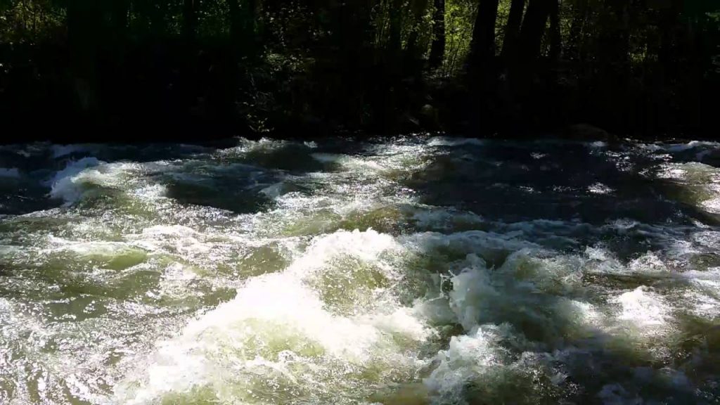 Wasa river in Semuliki National Park